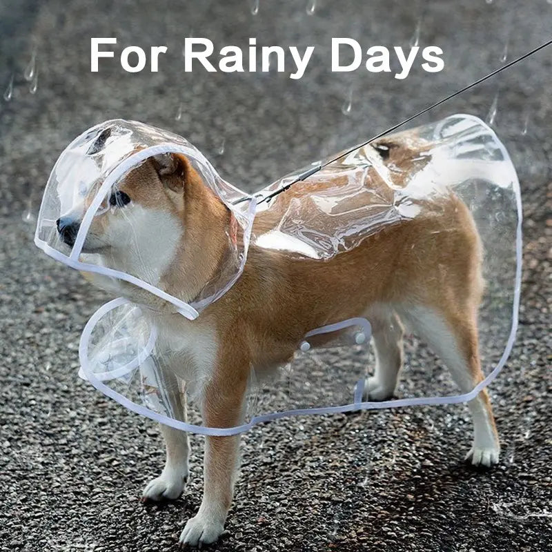 Transparent Thick Cape Dog Raincoat for Small Medium Dogs 🐶