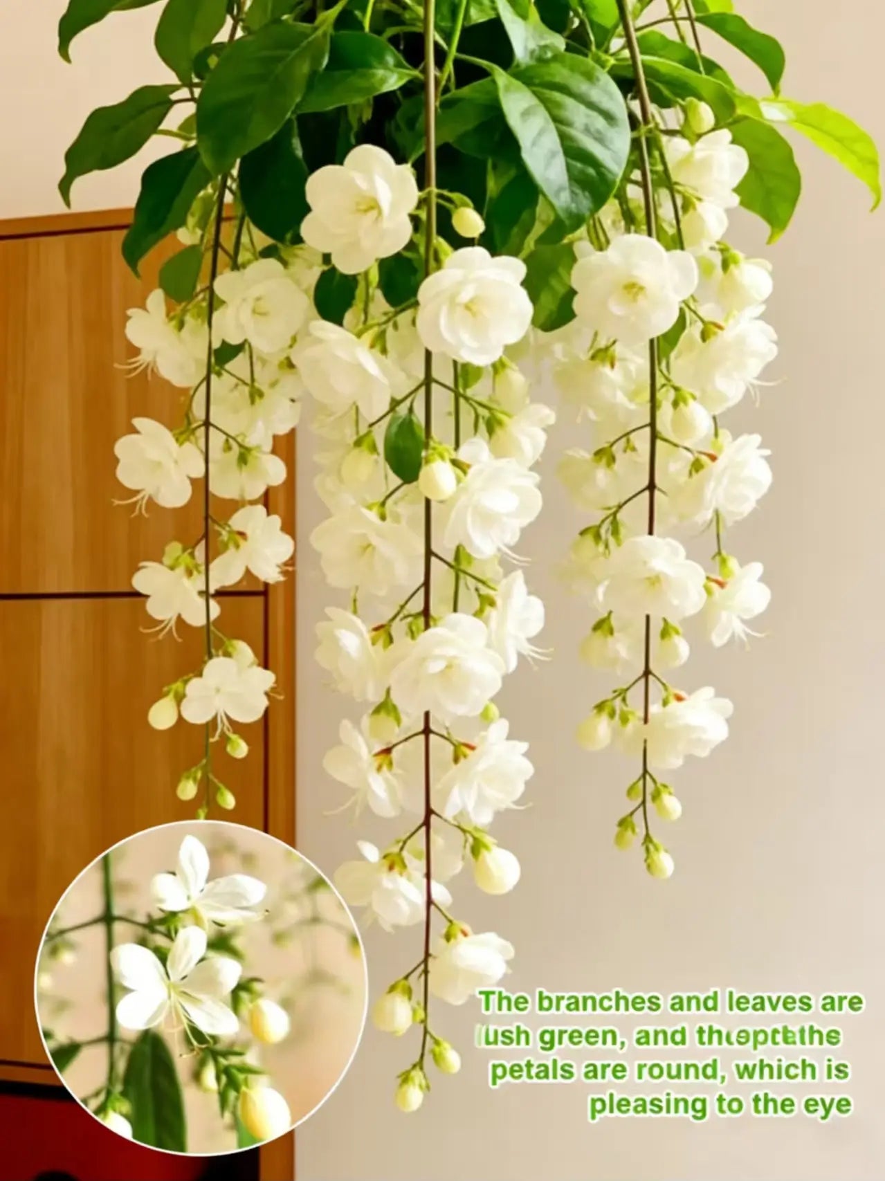 🌸49% OFF Dreamy Indoor Jasmine Hanging Basket