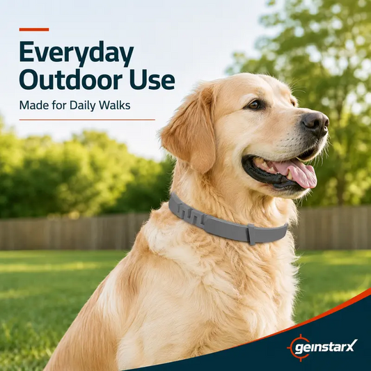 Gainstarx Adjustable Fresh Scent Lightweight Dog Collar🐶
