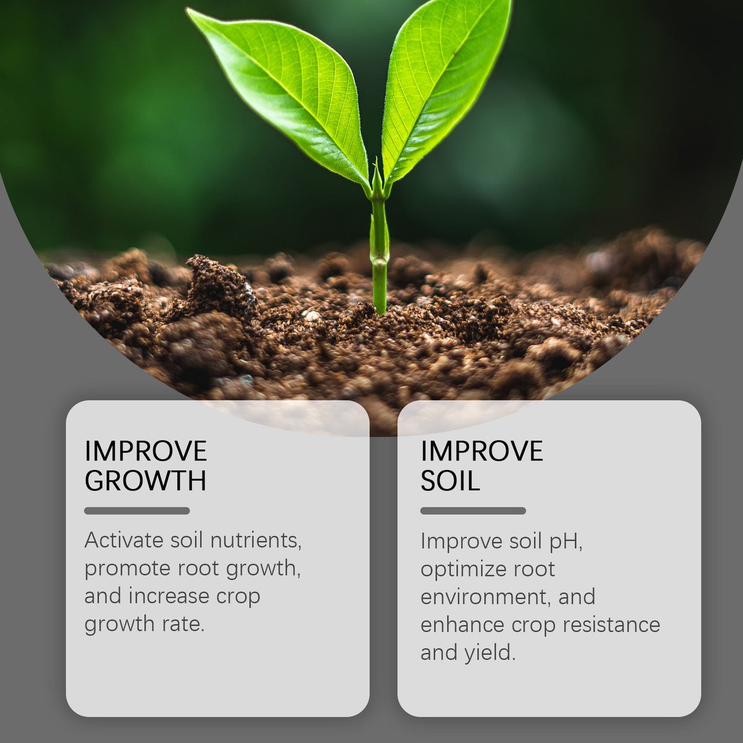 Humic Acid Soil Conditioner Concentrated Formula For Garden Lawn🌿