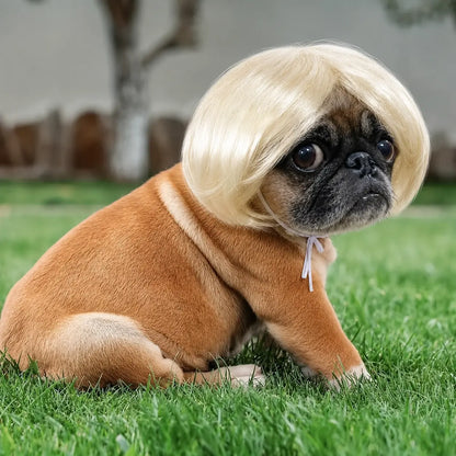 Cute Short-Hair Wig Pet Headband, Funny Pet Wig Hair Accessories for Dogs and Cats 🐶