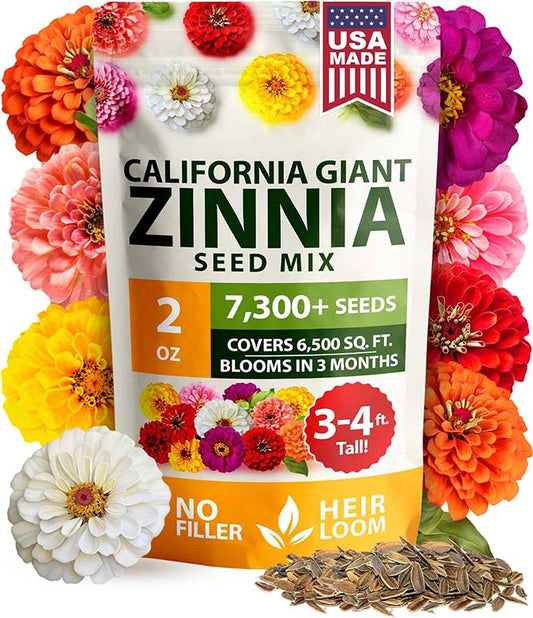 🌸Zinnia Seeds for 2026 - California Giant Mix