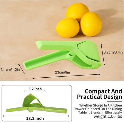 Stainless Steel Citrus Juicer 🍋 Perfect for oranges, lemons, and limes