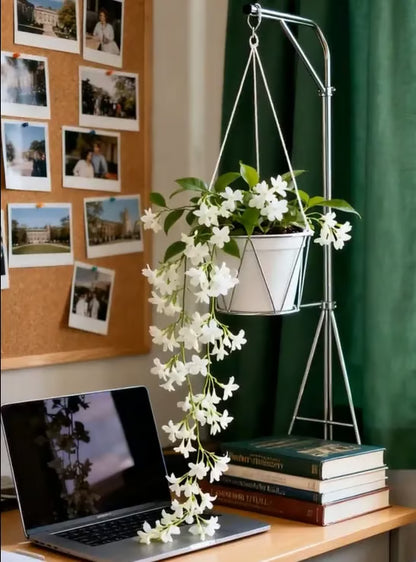 🌸49% OFF Dreamy Indoor Jasmine Hanging Basket