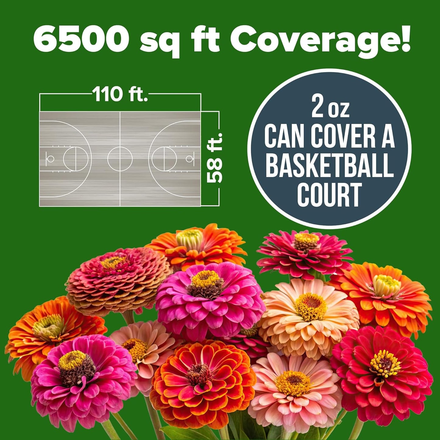🌸Zinnia Seeds for 2026 - California Giant Mix