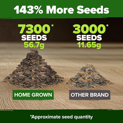 🌸Zinnia Seeds for 2026 - California Giant Mix