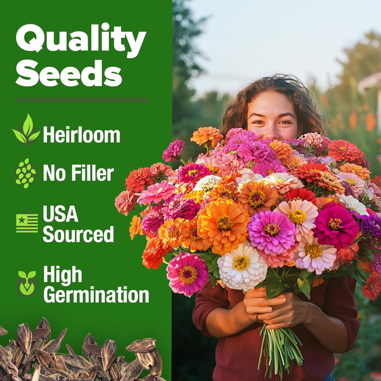 🌸Zinnia Seeds for 2026 - California Giant Mix