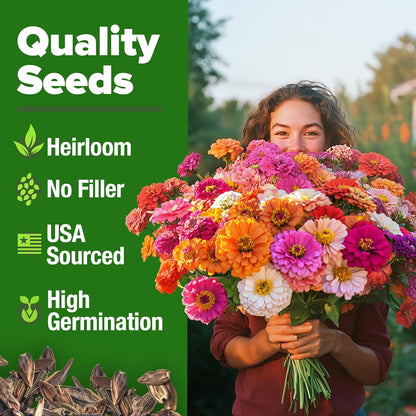 🌸Zinnia Seeds for 2026 - California Giant Mix