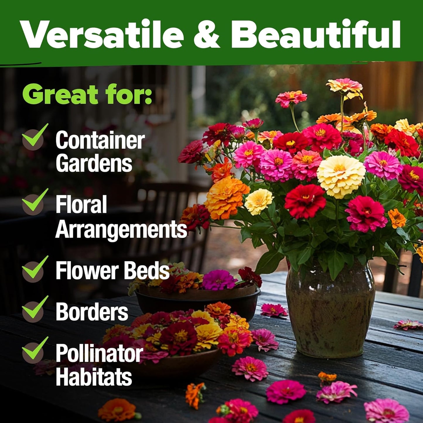 🌸Zinnia Seeds for 2026 - California Giant Mix