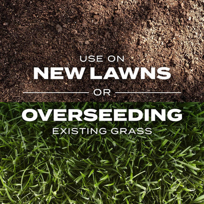 🌱2026 Evergreen Dwarf Grass Seed | For Four Seasons