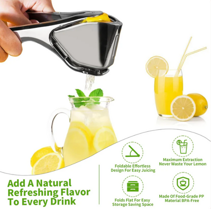 Stainless Steel Citrus Juicer 🍋 Perfect for oranges, lemons, and limes