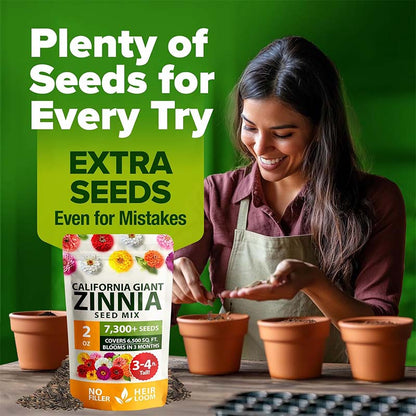 🌸Zinnia Seeds for 2026 - California Giant Mix