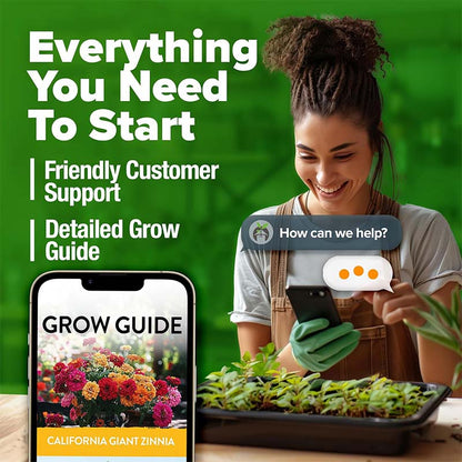 🌸Zinnia Seeds for 2026 - California Giant Mix