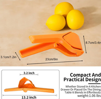 Orange-PP